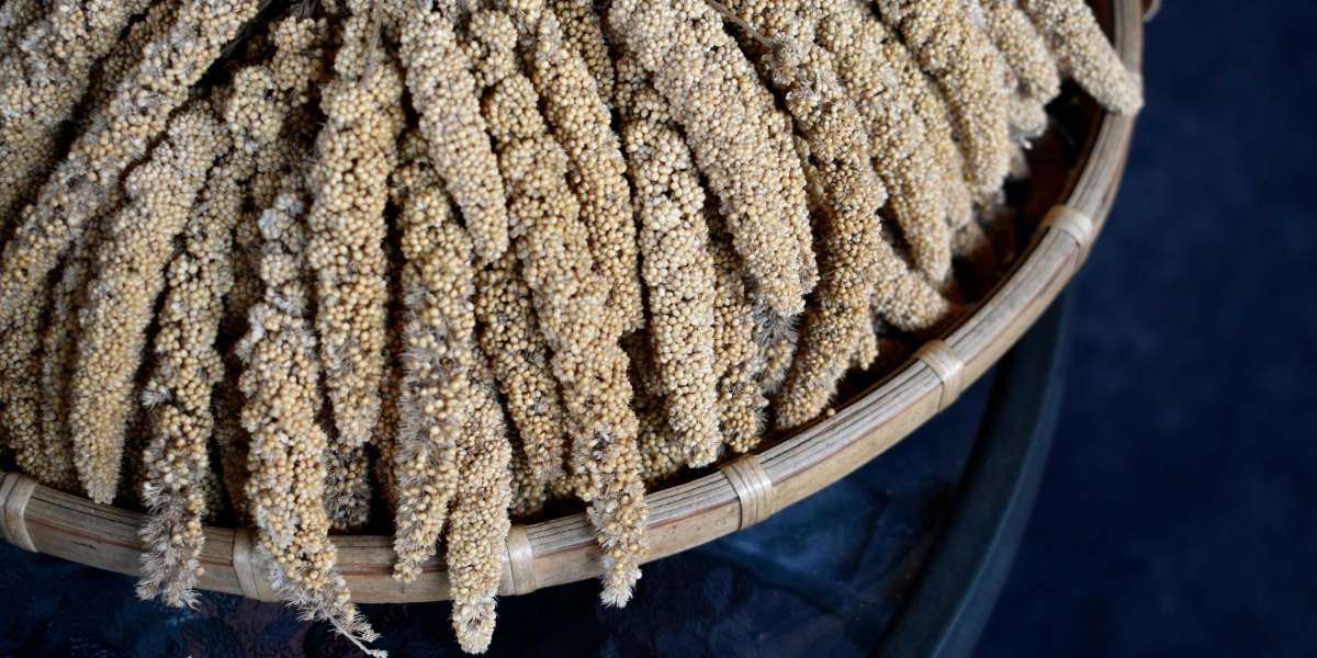 Millets versus other grains: why millets should form a part of your diet