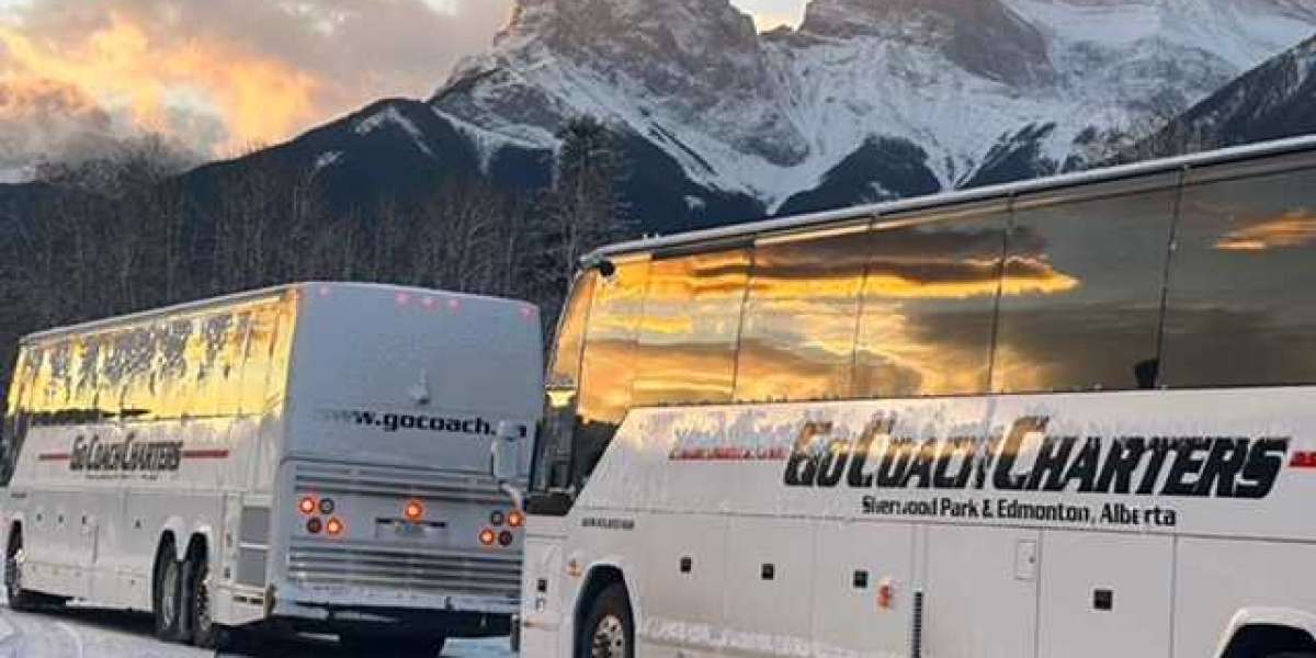 Best Charter Bus Companies in Calgary for Group Travel