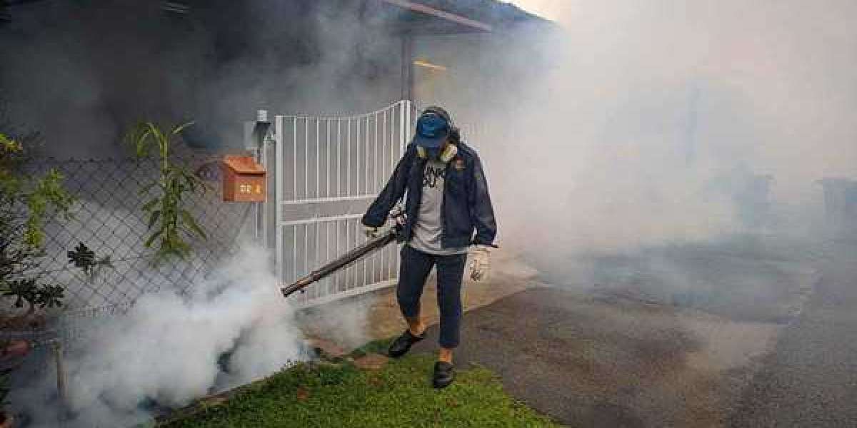 Smoke Odor Removal Service: Breathe New Life Into Your Home