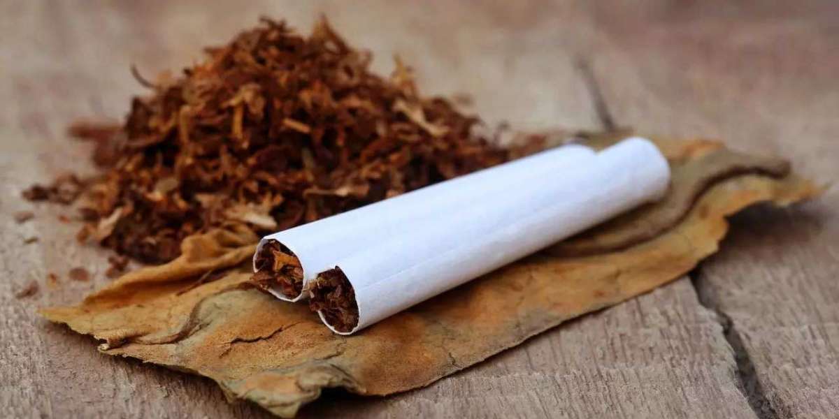 India Tobacco Market Size, Business Opportunity and Report 2025-2033