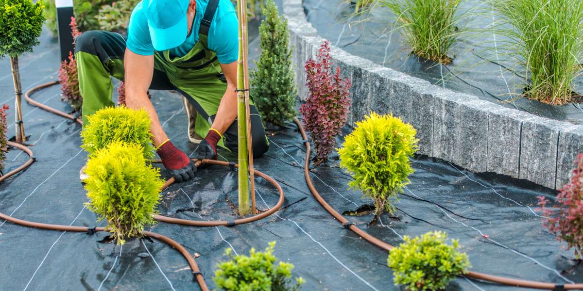 Seasonal Landscape Services in Waterloo | Year-Round Care