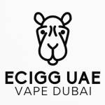 Ecigg UAE VAPE DUBAI