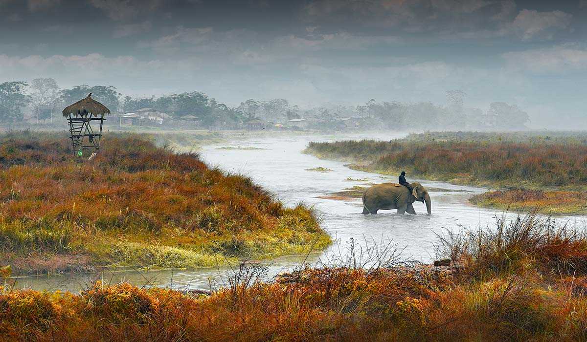 chitwan national park