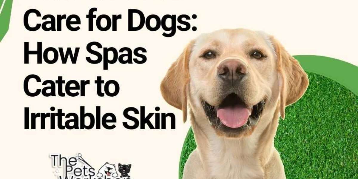 Preventing Skin Issues in Dogs Through Professional Grooming — The Pets Workshop