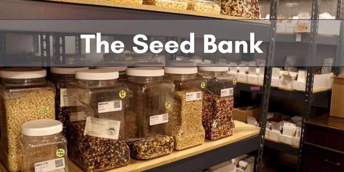 Seed Bank Near Me: Find the Best Cannabis Seeds for Your Growing Needs