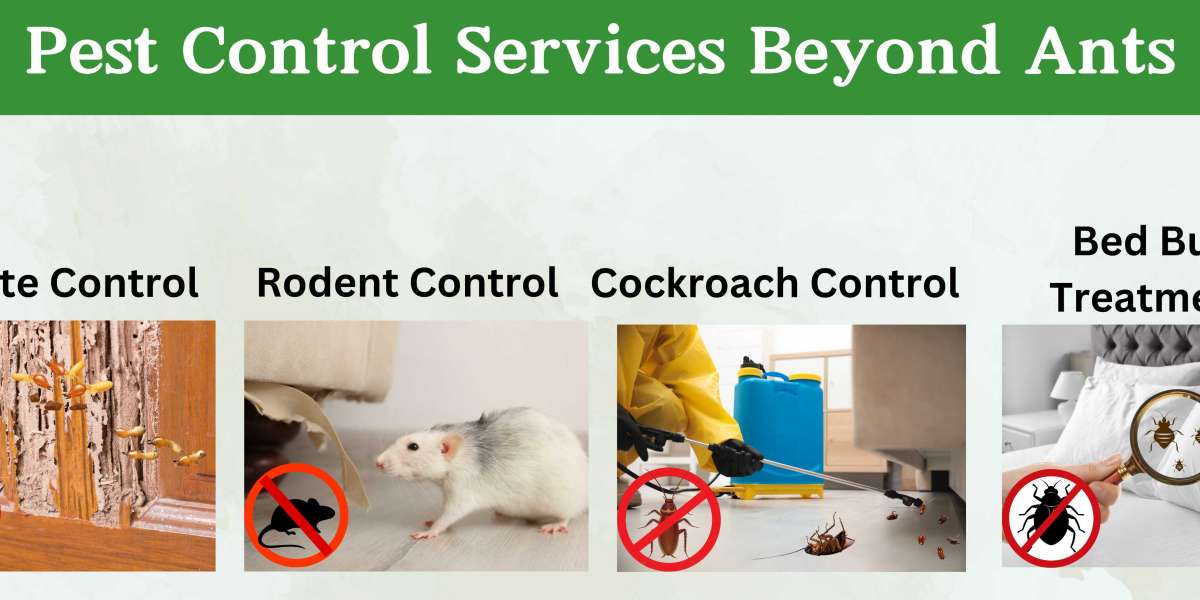 Best Pest Control Services in New Delhi