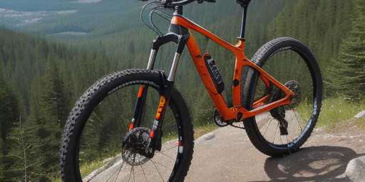 Carbon fibre mountain bike