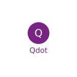 Qdot International Management System