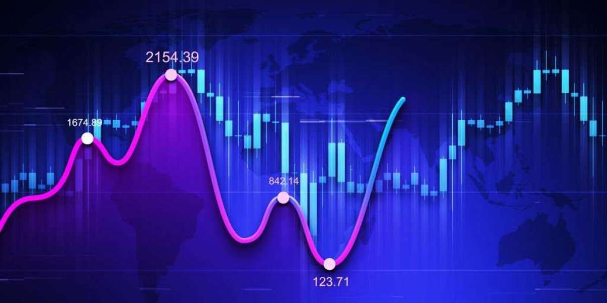 Dealership Accounting Software Market Size, Type, segmentation, growth and forecast 2024-2030