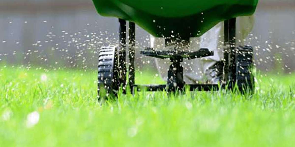 High-Quality Fertilizer for Vibrant Lawns and Gardens