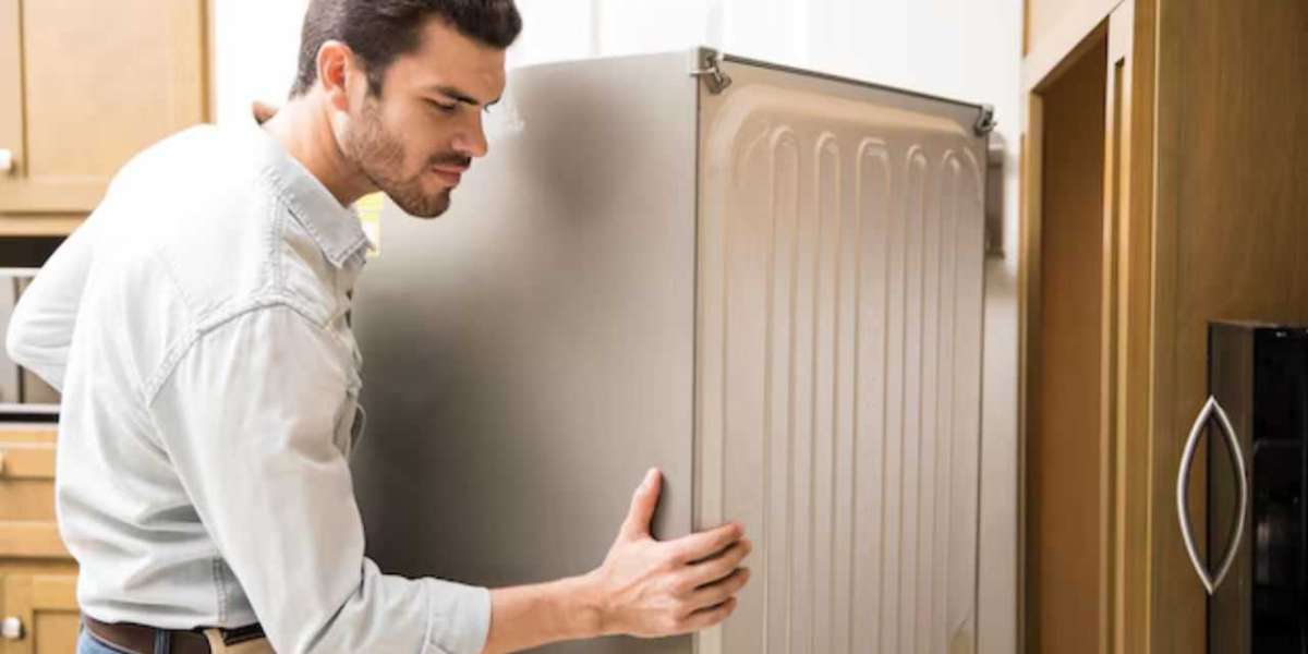 Fridge Movers Brisbane: The Perfect Fridge Moving Guide