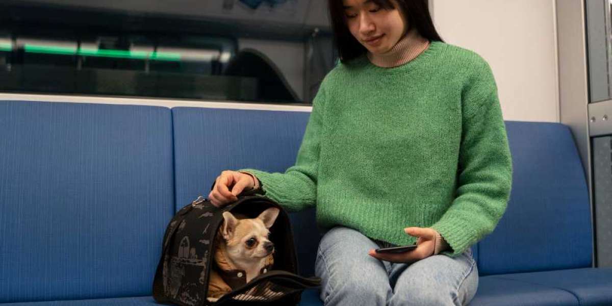 Can Emotional Support Animals Access Public Transport in Utah?