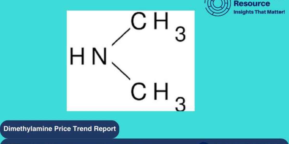 Dimethylamine Price Trend Analysis: Insights and Forecast