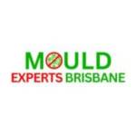 Mould Experts Brisbane