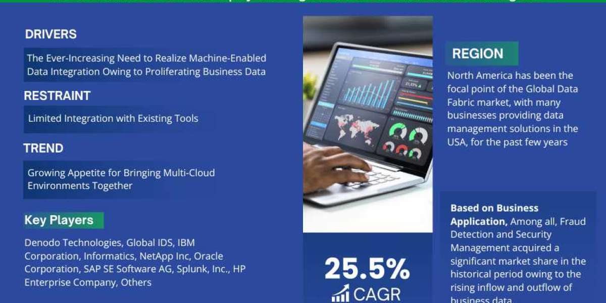 Data Fabric Market to Observe Prominent CAGR of 25.5% by 2028