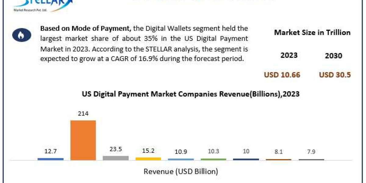 US Digital Payment Market Opportunities, Sales Revenue, Market CAGR, Leading Players and Forecast 2030