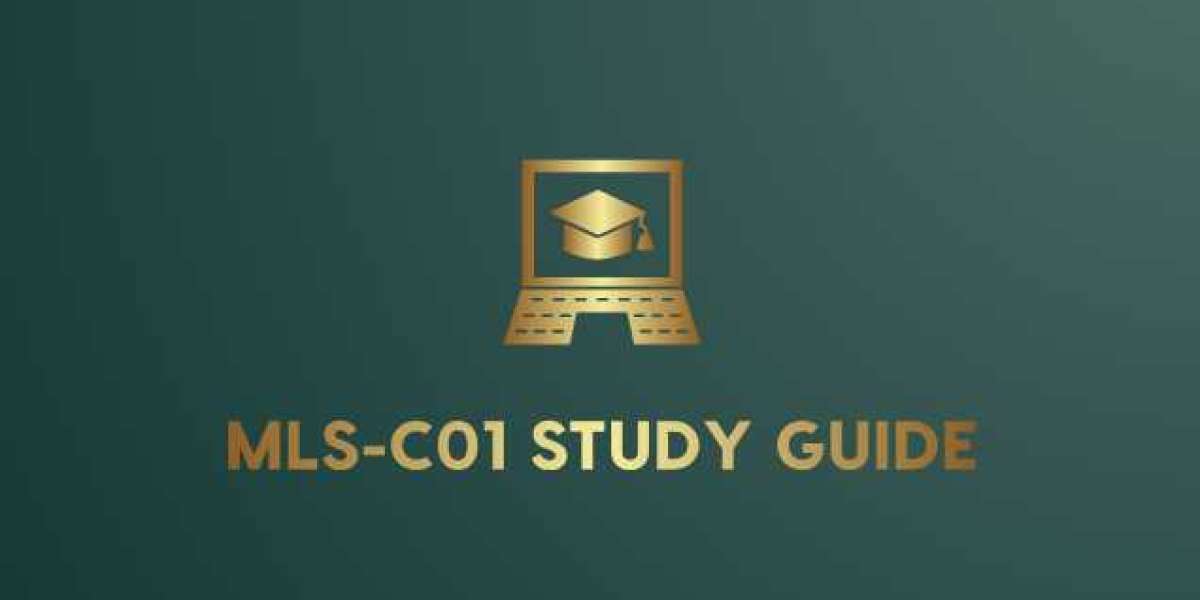 Guaranteed Success with Premium MLS-C01 Exam Dumps