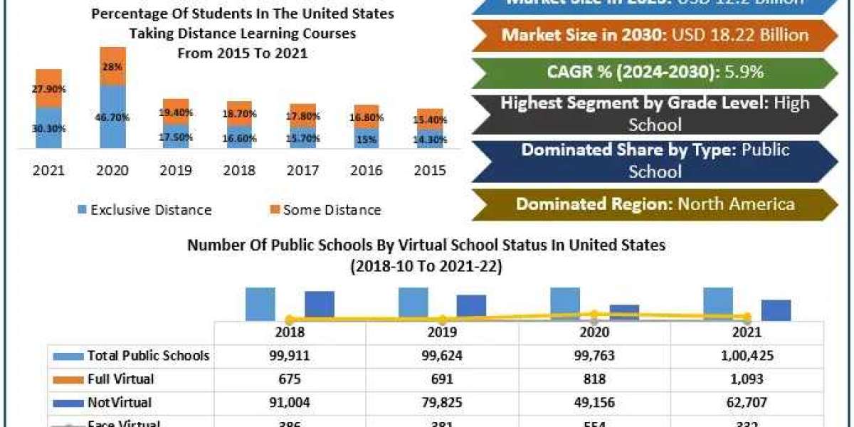 The Future of Education: Virtual Schools Market Insights and Projections to 2030