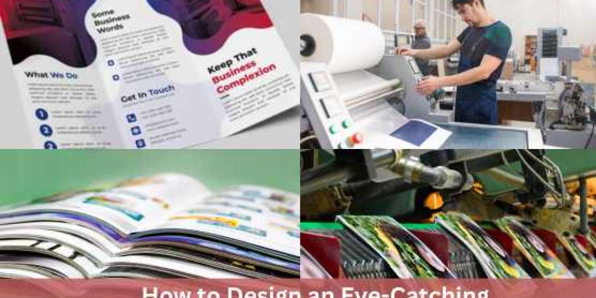 How to Design an Eye-Catching Brochure for Your Udaipur Business