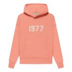 Pink Essentials Hoodie