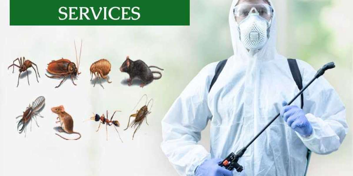 How to Choose the Right Pest Control Company in Houston