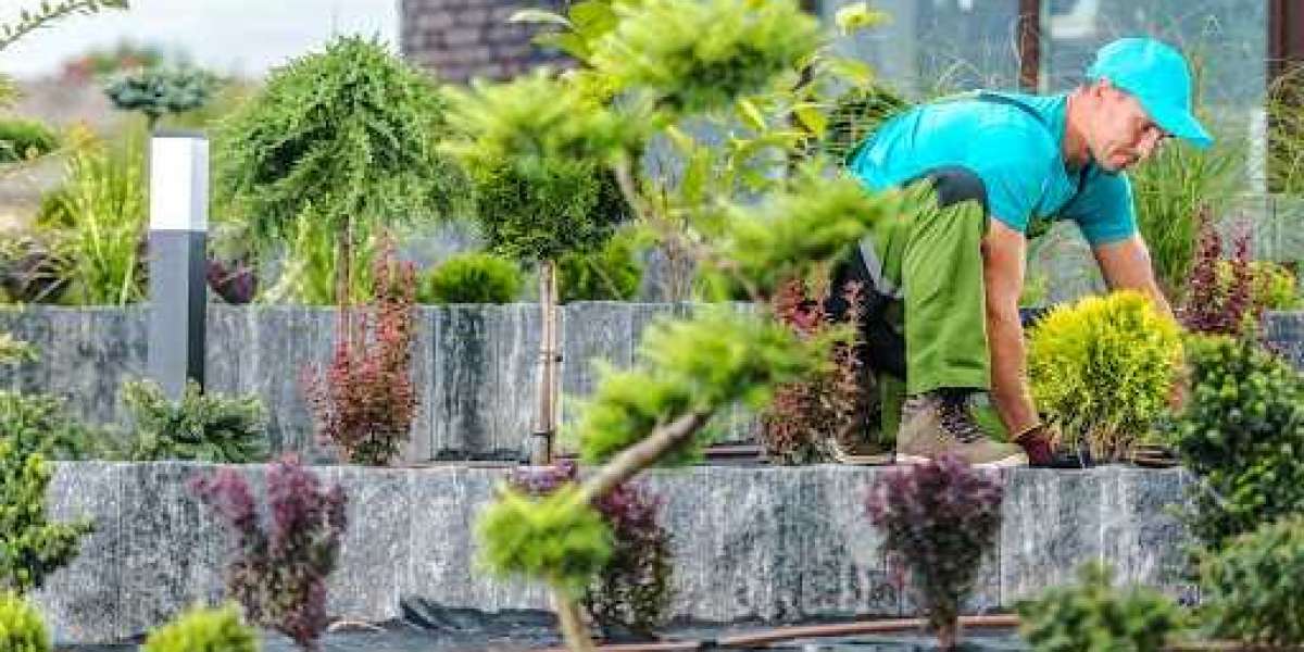 Top Landscaping Services in Melbourne: Transform Your Outdoors Today