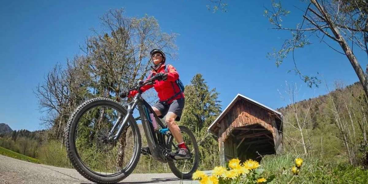 Ride Into Paradise: Discover the Caribbean with Ebike Island Tours