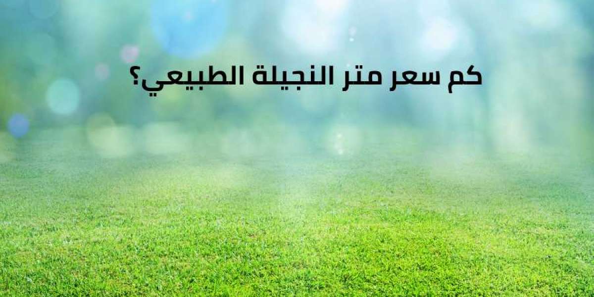 أرضيات ملاعب كرة القدم: الخيارات والتقنيات الحديثة