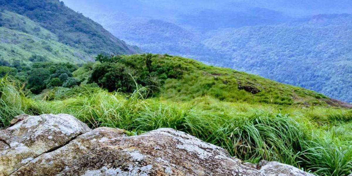 Ponmudi Weather and Climate: A Guide to the Misty Hill Station