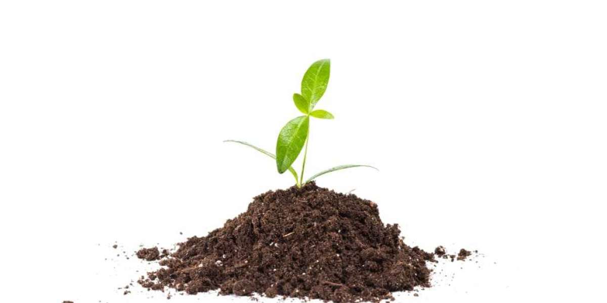 How to Make Healthy Soil: A Guide for Farmers and Gardeners?