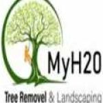 myh20