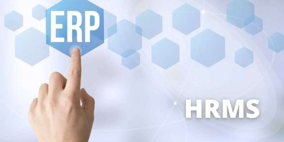 The Synergy of ERP and HRMS Software: A Blueprint for Business Success