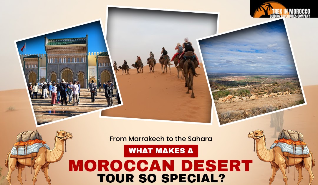 From Marrakech to the Sahara: What Makes a Moroccan Desert Tour So Special?