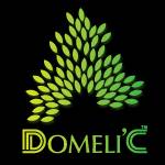 Domelic Ae