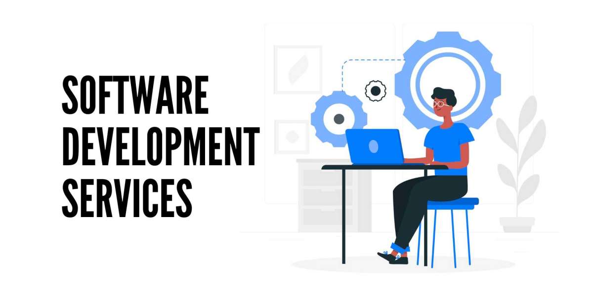 Software Development Services in noida