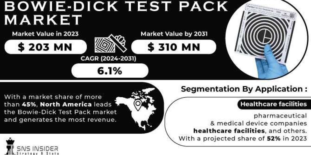 Bowie-Dick Test Pack Market Competitive Landscape and Key Players 2024-2032