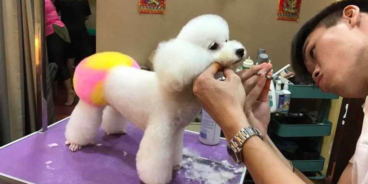 Finding the Best Dog Grooming Services in Loganville, GA: A Guide to Doodle Dog Grooming