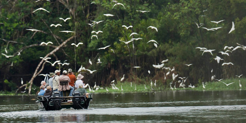 How Visiting the Amazon Rainforest Can Change Your View on Nature