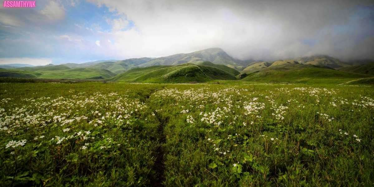 Santhei Natural Park: A Tranquil Retreat in Manipur