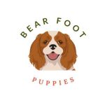 Bearfoot Puppies