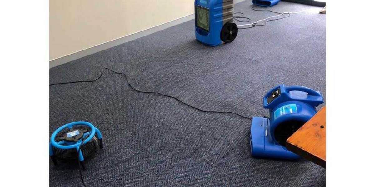 Expert Carpet Cleaning Sydney – Fresh, Clean & Hygienic Carpets