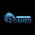 Caheotv Biz