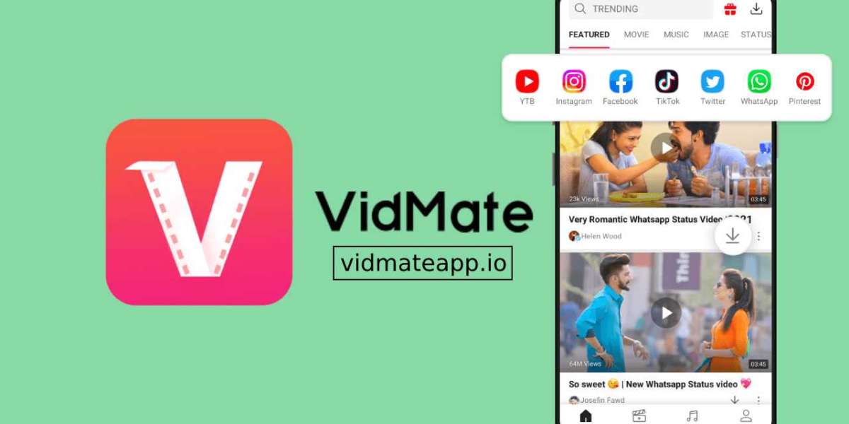 The Top Features of VidMattApp You Need to Know