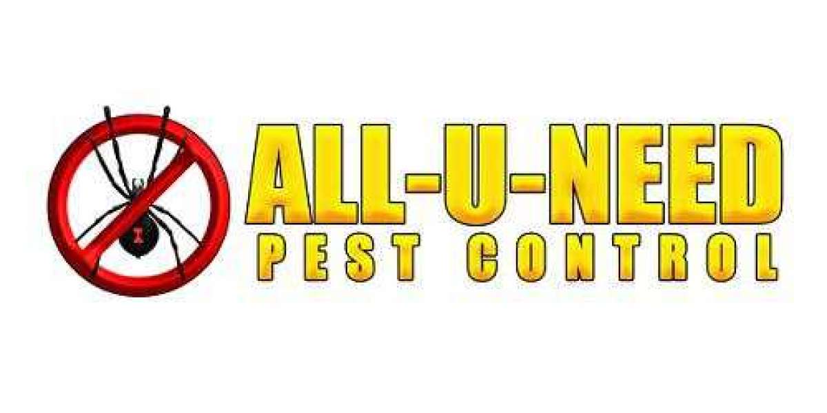 How All-U-Need Pest Control Offers the Best Termite Treatment in Perth