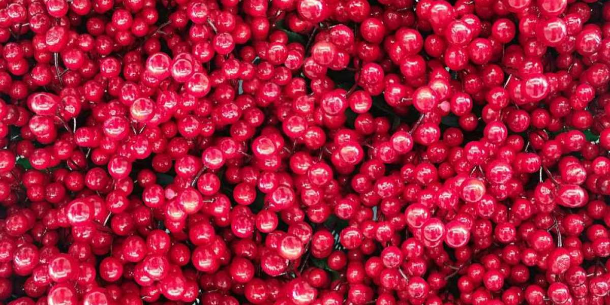 Exploring the Global Cranberries Market: Trends, Opportunities, and Insights