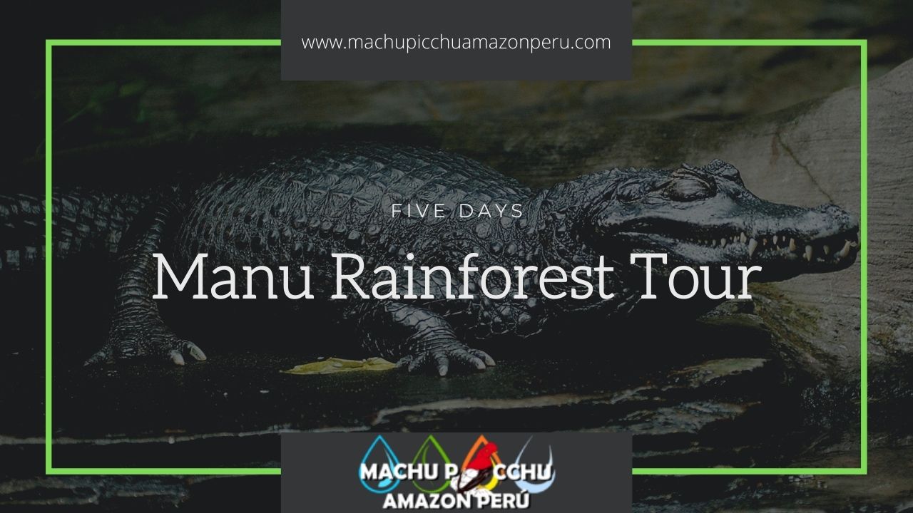 Manu National Park Tours from Cusco - Tour Cusco Manu - 2025