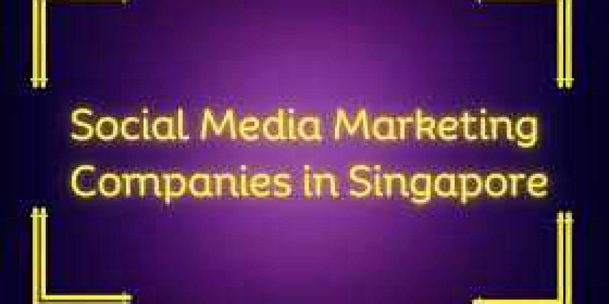 SEO Services in Singapore: The Best Agencies for ROI