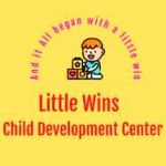 Little Wins