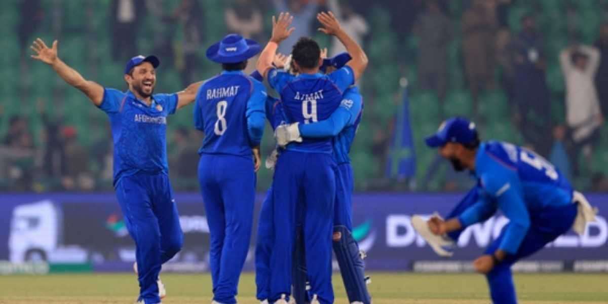 Everything You Need to Know About Online Cricket ID