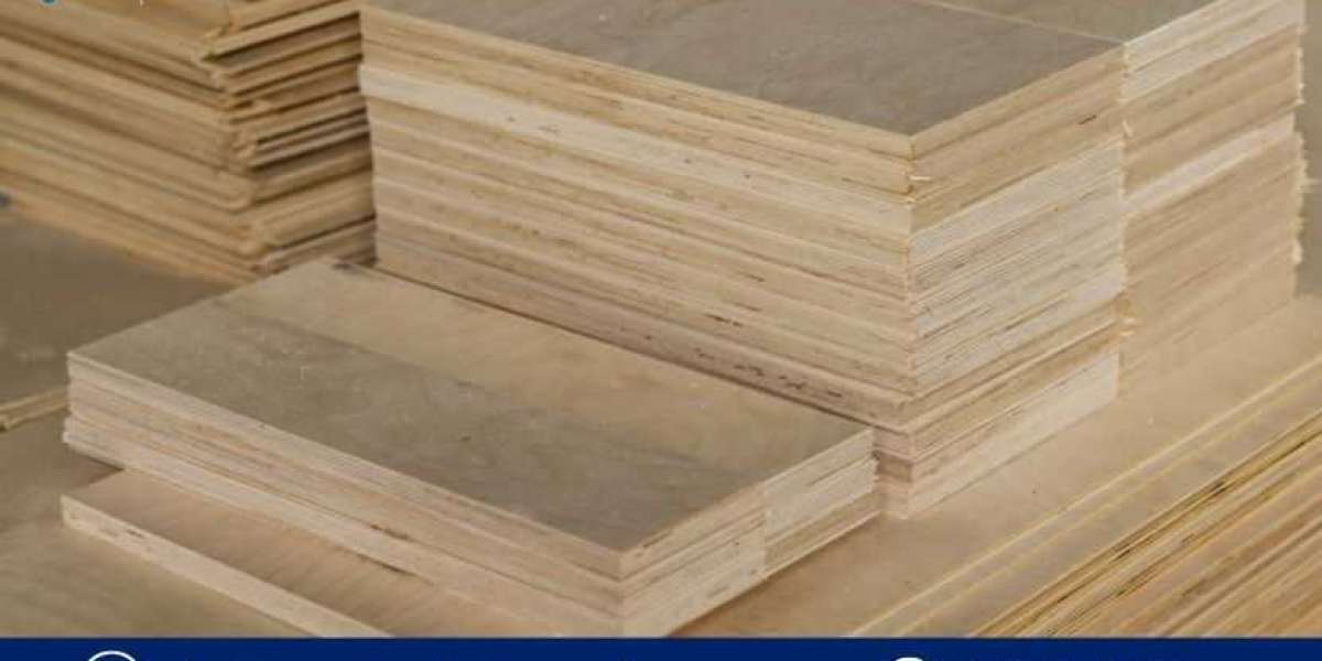 Plywood Manufacturing Plant Project Report 2025: Key Steps, Challenges and Solutions